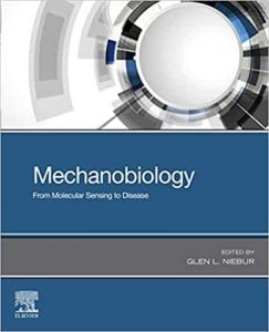Read more about the article Mechanobiology: From Molecular Sensing to Disease – PDF eBook
