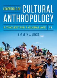 Read more about the article Essentials of Cultural Anthropology: A Toolkit for a Global Age (2nd Edition) – eBook