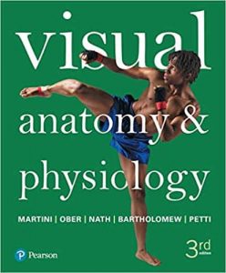 Read more about the article Visual Anatomy and Physiology (3rd Edition) – PDF eBook