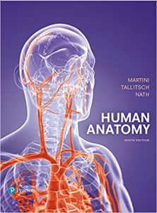 Read more about the article Human Anatomy (9th Edition) – PDF eBook