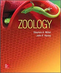 Read more about the article Zoology (10th Edition) – Miller and Harley – PDF eBook