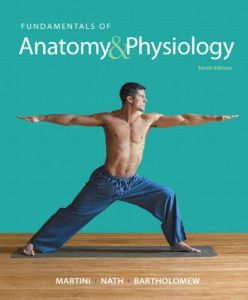 Read more about the article Fundamentals of Anatomy & Physiology (10th Edition) – eBook PDF
