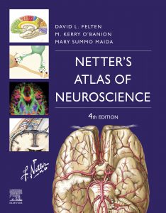 Read more about the article Netter’s Atlas of Neuroscience (4th Edition) – eBook PDF