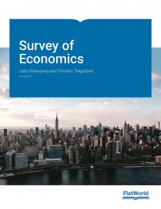 Read more about the article Survey of Economics, Version 2.0 – eBook PDF