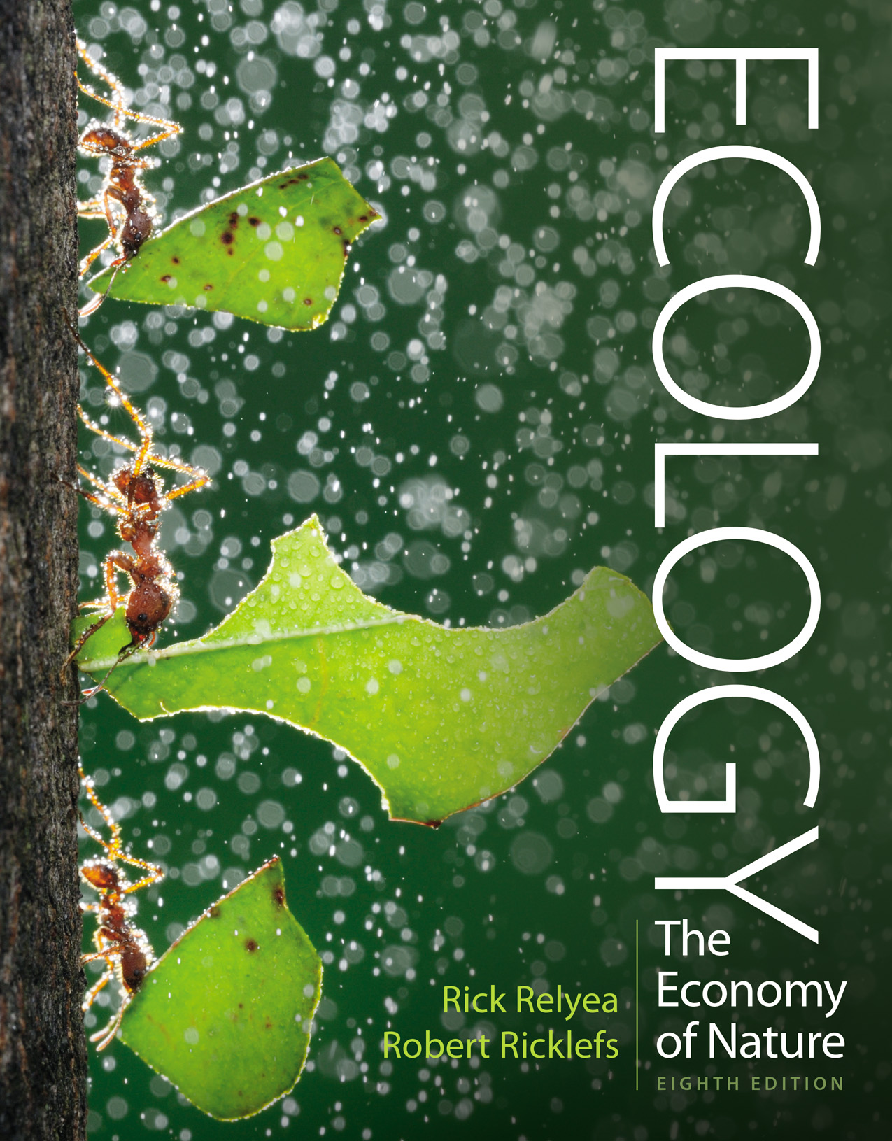 You are currently viewing Ecology: The Economy of Nature (8th Edition) – eBook PDF