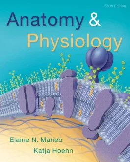 Anatomy and Physiology (6th Edition) – PDF
